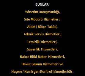 yönetim hizmetleri